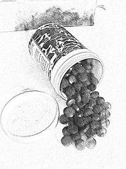 Chlorella Sketch